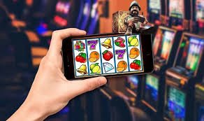 cc6 app wins overview showing sports betting results on mobile screen